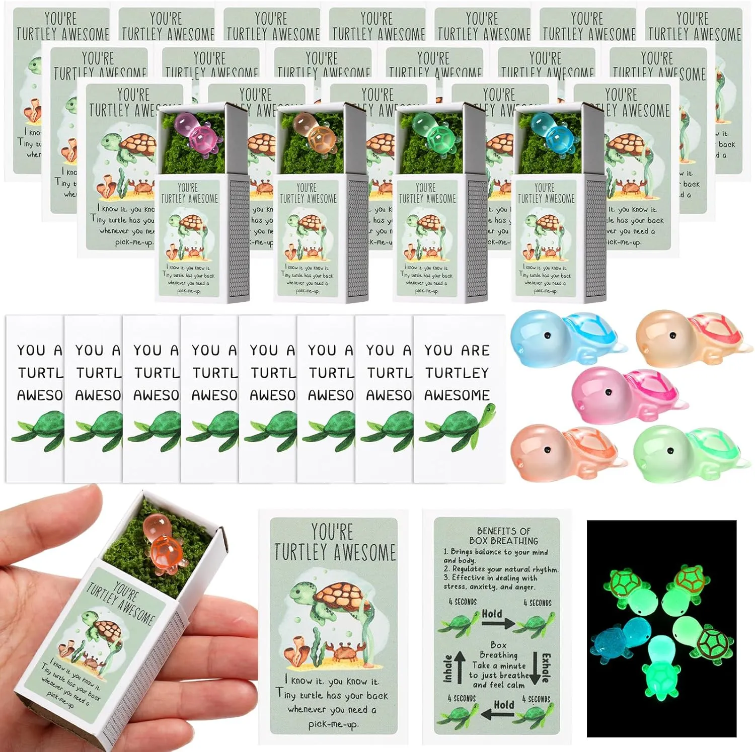 20 Sets Emotional Support Positive Turtle Bulk Appreciation Gifts for Teachers Employee Coworkers Administrator Nurse Lab Week End of Year Gifts Graduation Party Favors