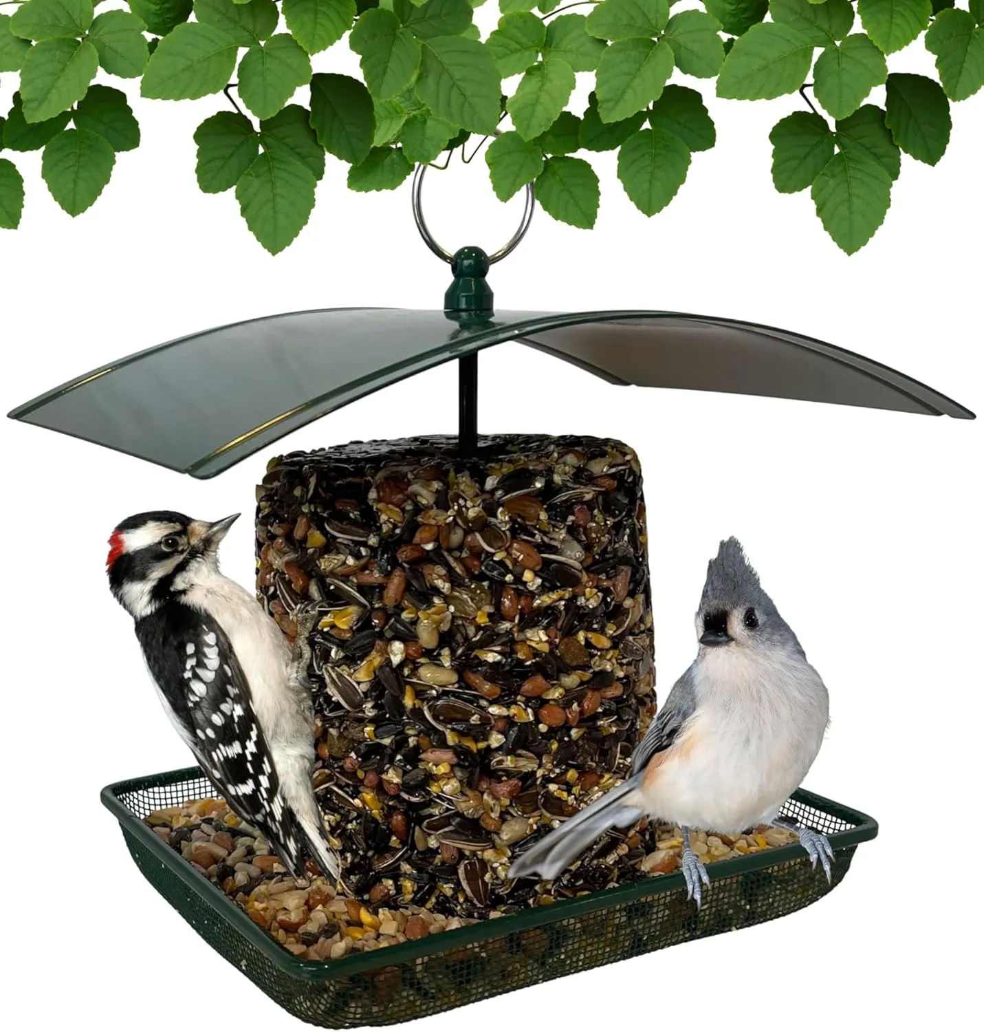 Green Platform Metal Mesh Feeder - Multi-Purpose Metal Bird Feeder for Bird Seed, Mealworms, Fruit, Suet and Seed Logs and Stackers