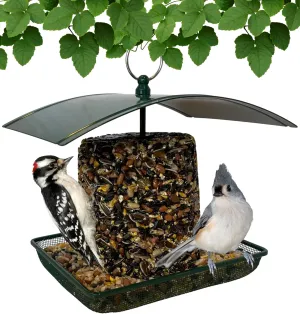 Green Platform Metal Mesh Feeder - Multi-Purpose Metal Bird Feeder for Bird Seed, Mealworms, Fruit, Suet and Seed Logs and Stackers