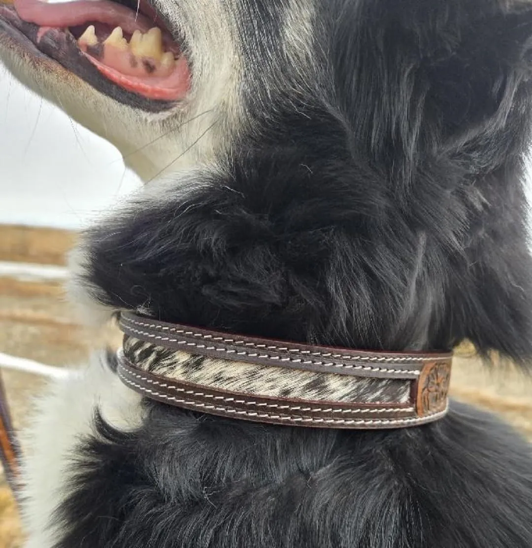 Hair On Cowhide Leather Dog Collar – Western Dog Collar - Padded - Small