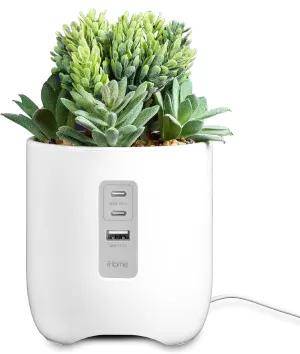 iHome PowerPlant Charging Station, Faux Succulent with USB Charging Station for iPhone, Android, and More – White (iPP45)