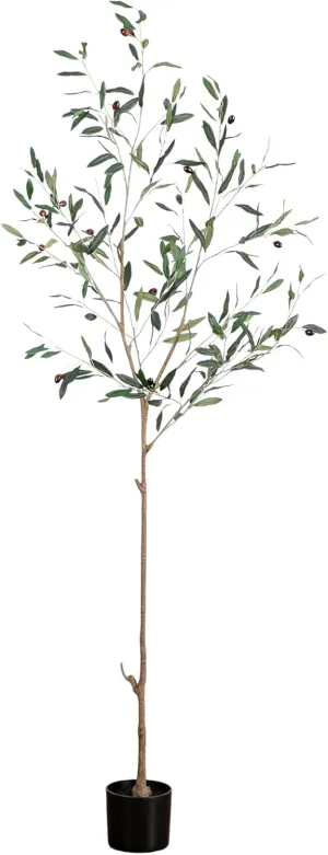 Nearly Natural 6ft Artificial Olive Tree - Slim Minimalist Design with Lifelike Faux Olives, Flexible Branches, Includes Nursery Planter