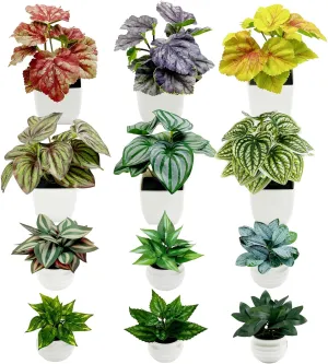 SNAIL GARDEN 12 Pack Small Artificial Plants in Pots,2 Sises Small Fake Plant for Home Decor, 5.5" & 3.5" Mini Potted Plants, Realistic Potted Plant Desk Decor for Office Bathroom